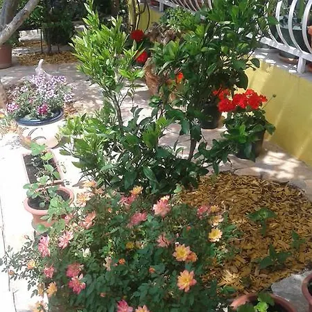 Apartament Studio Leros