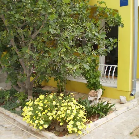 Apartment Studio Leros